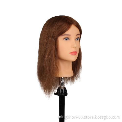 100% Human Hairdressing indian hair wholesale top quality famela  mannequin head hair wigs